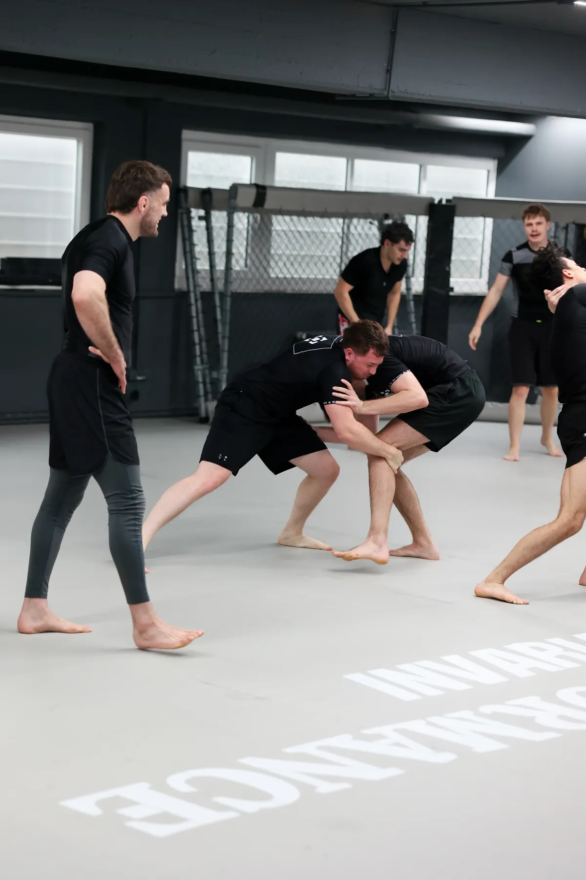 Brazilian Jiu Jitsu Gruppentraining im NoGi-Sparring bei Elevate München
